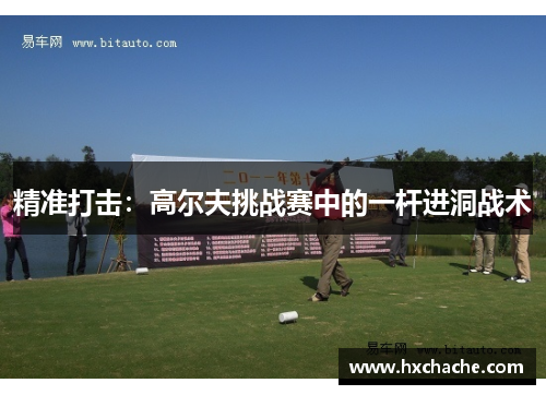 精准打击：高尔夫挑战赛中的一杆进洞战术
